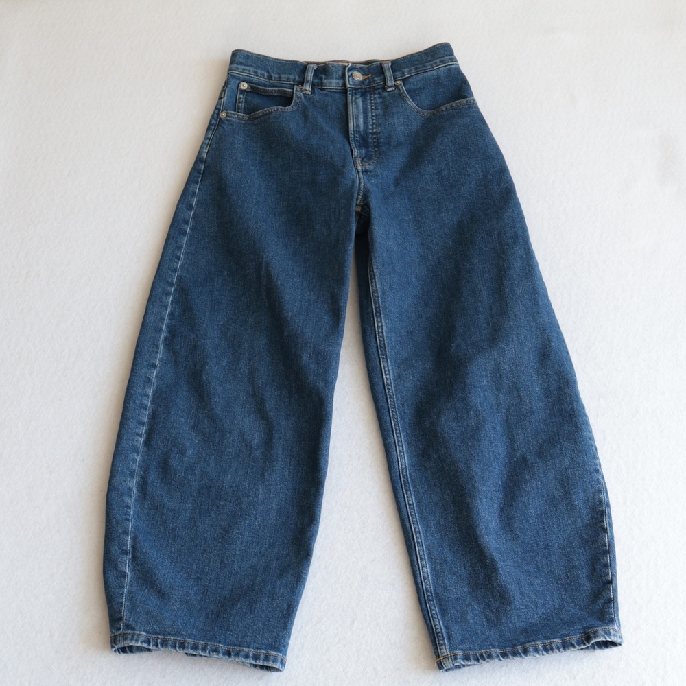 Everlane The Way-High Curve Jean 26R Medium Indigo High Rise Barrel Leg